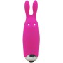 FUCSIA POCKET VIBRATOR - LASTIC