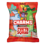 RAVAZZI CHARMS PARTY SQUAD BUSTA SINGOLA DA 80 GR.
