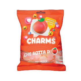 RAVAZZI CHARMS PESCA BUSTA SINGOLA DA 80 GR.