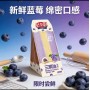 TORTA GIAPPONESE GUSTO MIRTILLO 100GR X 10 PEZZI