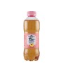 SAN BENEDETTO THE PESCA CONF. 50cl x 12pz